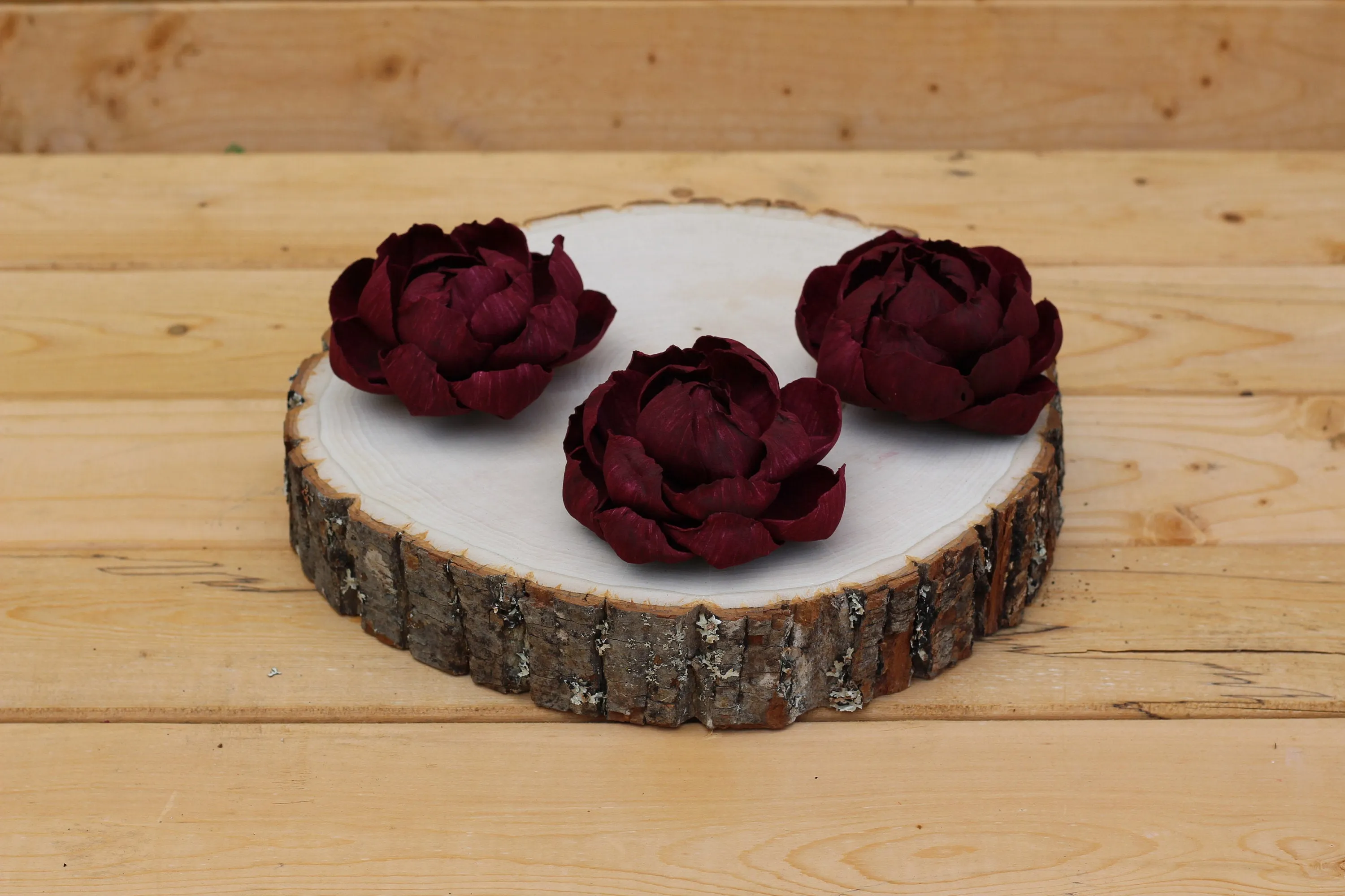 3" Wine Sola Wood Premium Peonies