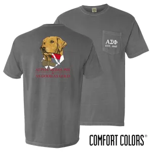 Alpha Sig Comfort Colors Retriever Flag Tee