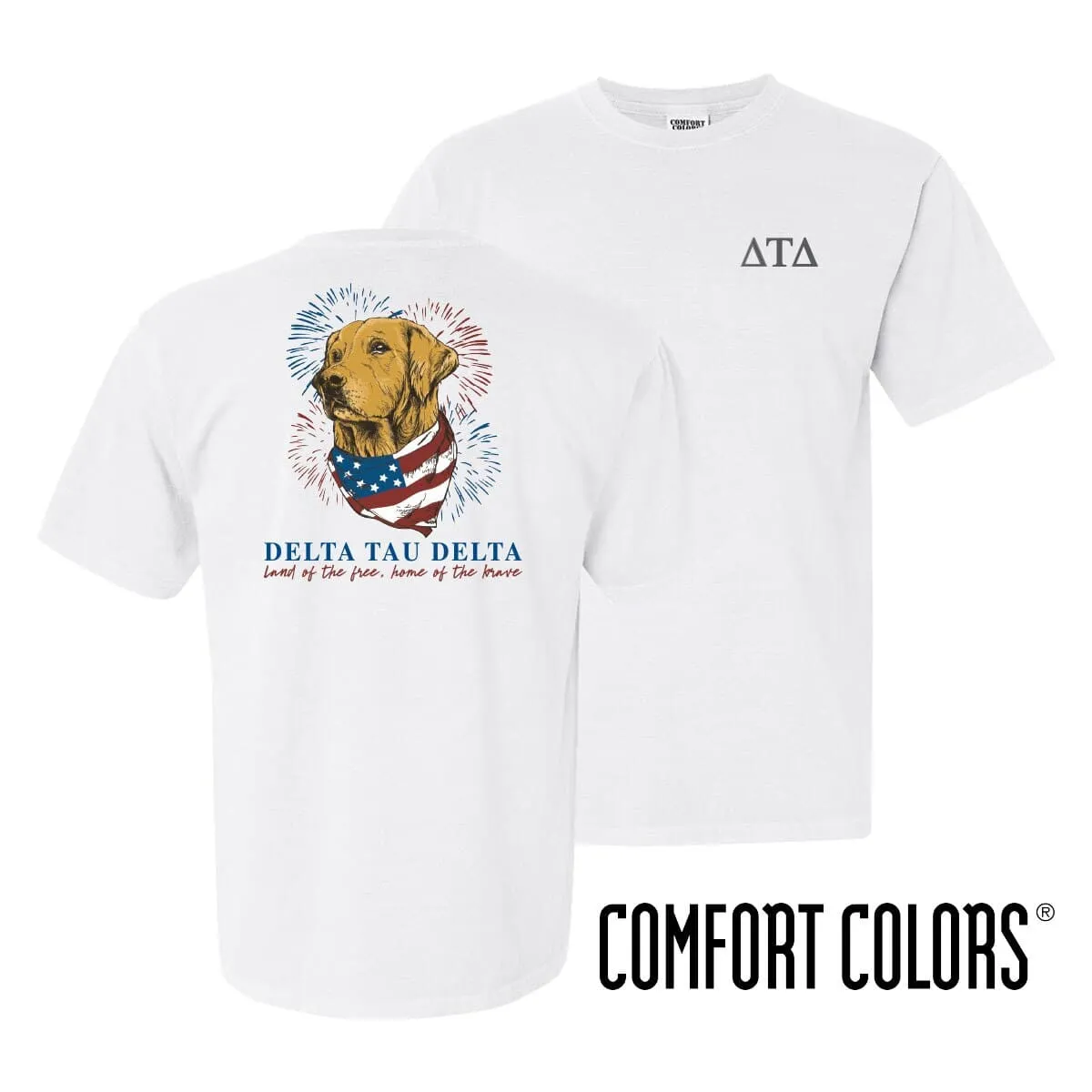 Delt Comfort Colors USA Retriever Tee