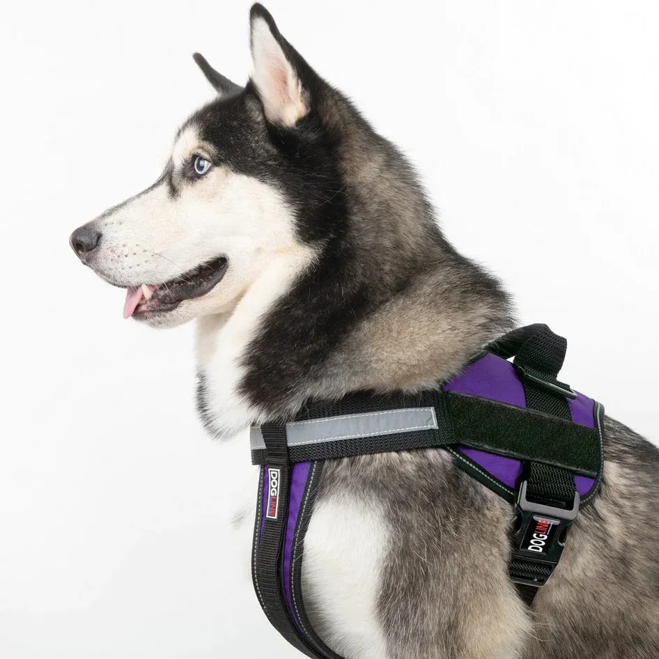 Dogline Unimax Multi-Purpose Dog Harness Purple