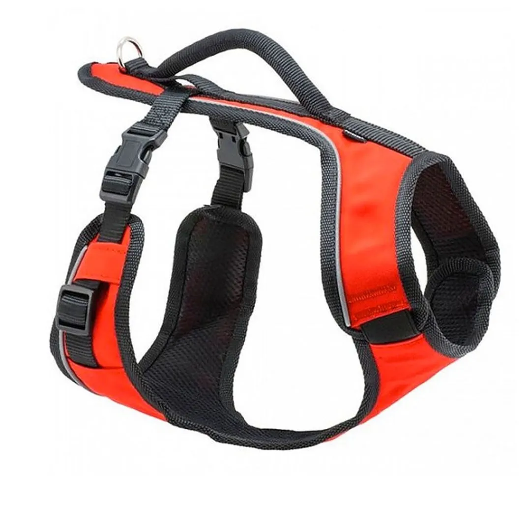 EasySport™ Harness