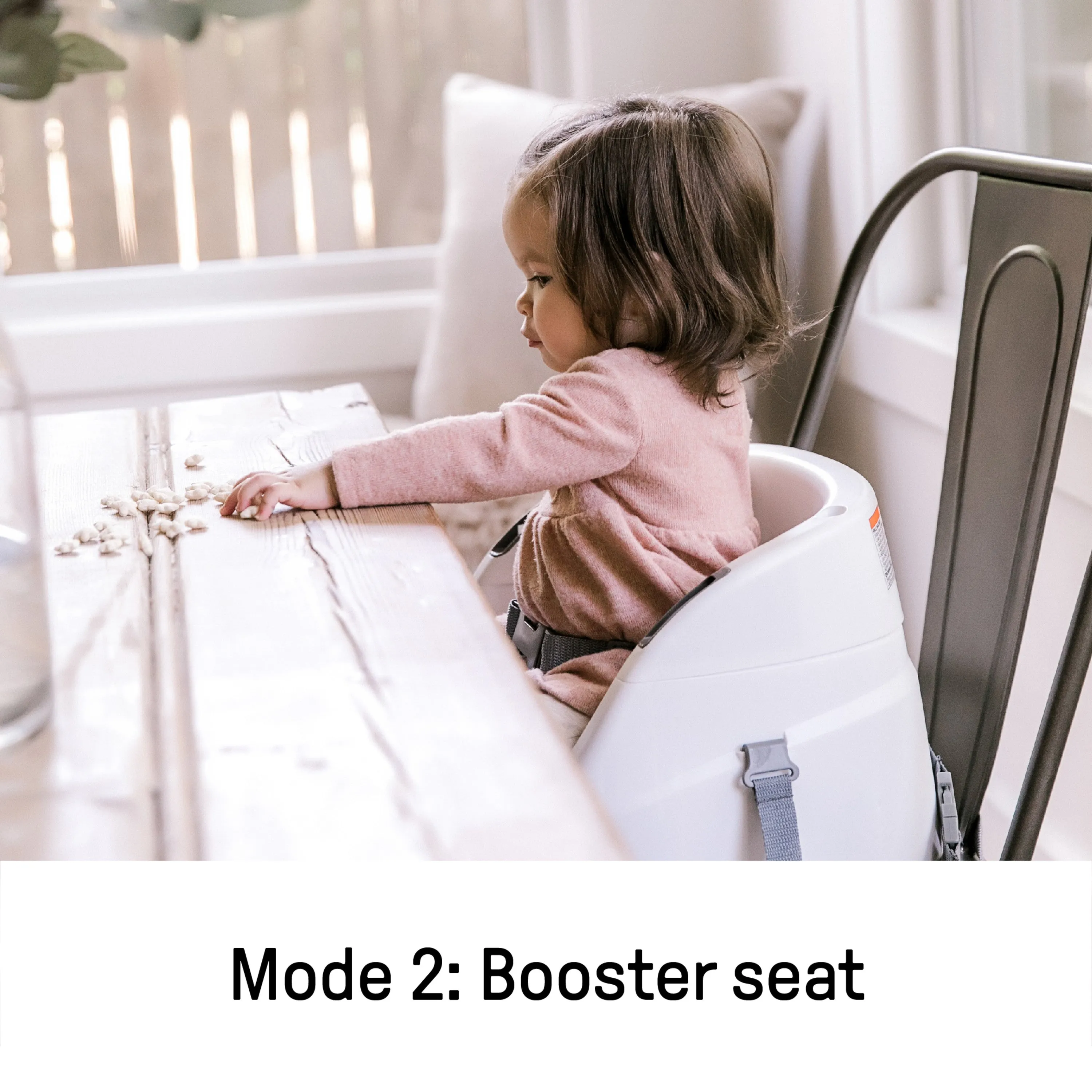 Ingenuity Baby Base 2-in-1 Booster Feeding and Floor Seat, Slate