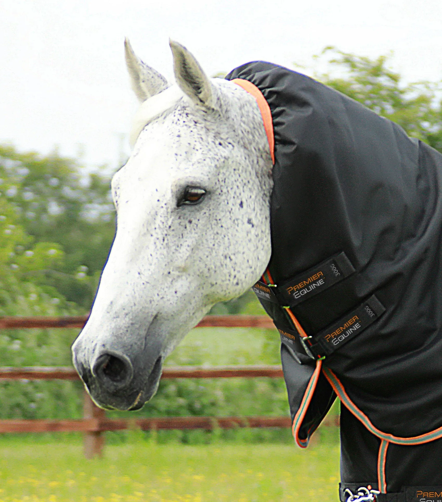 Titan 300g Turnout Rug Neck Cover (200g Fill)