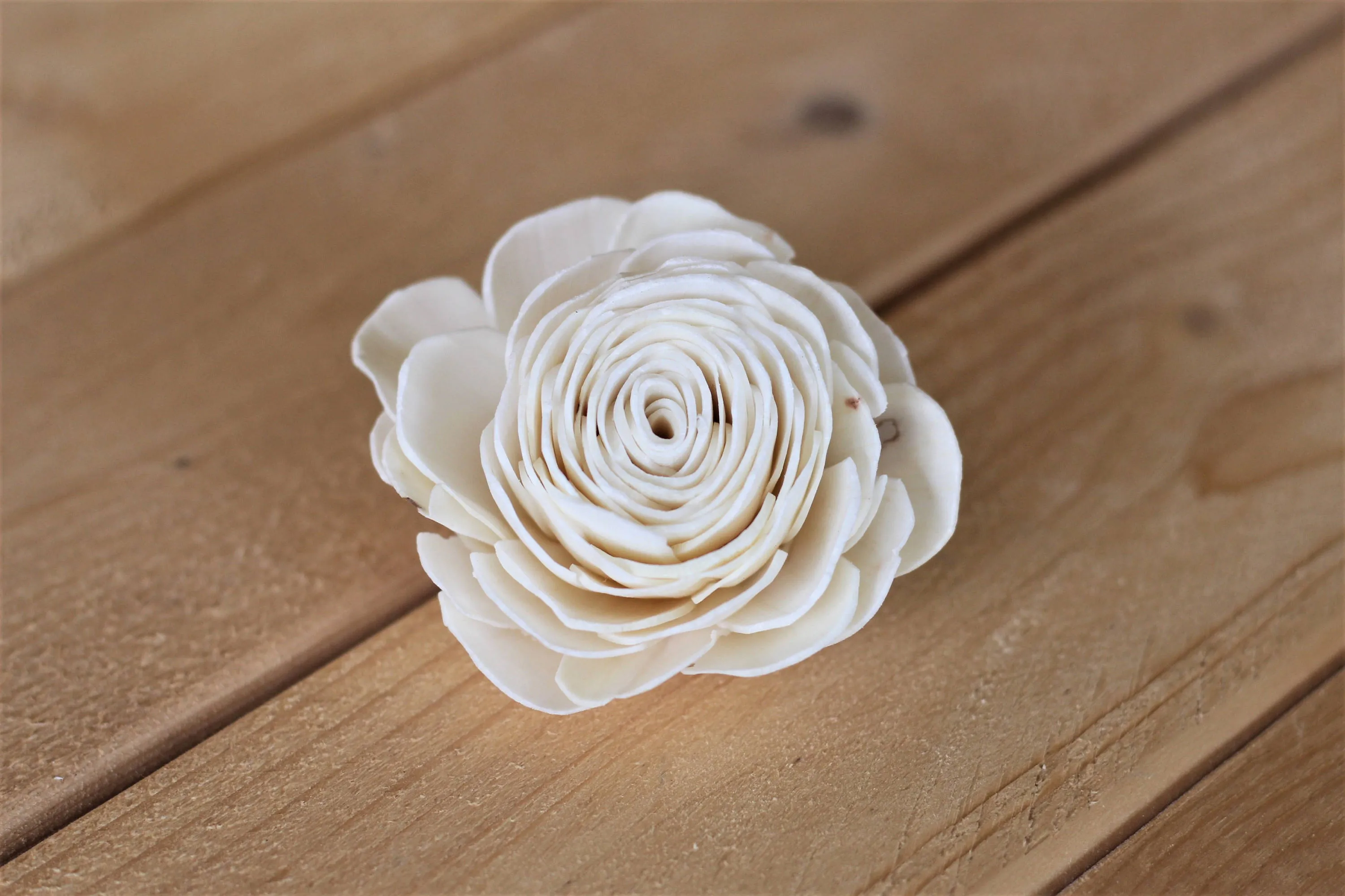 Wholesale/Bulk Sola  Wood English Roses/Ranunculus ( 25 Count )