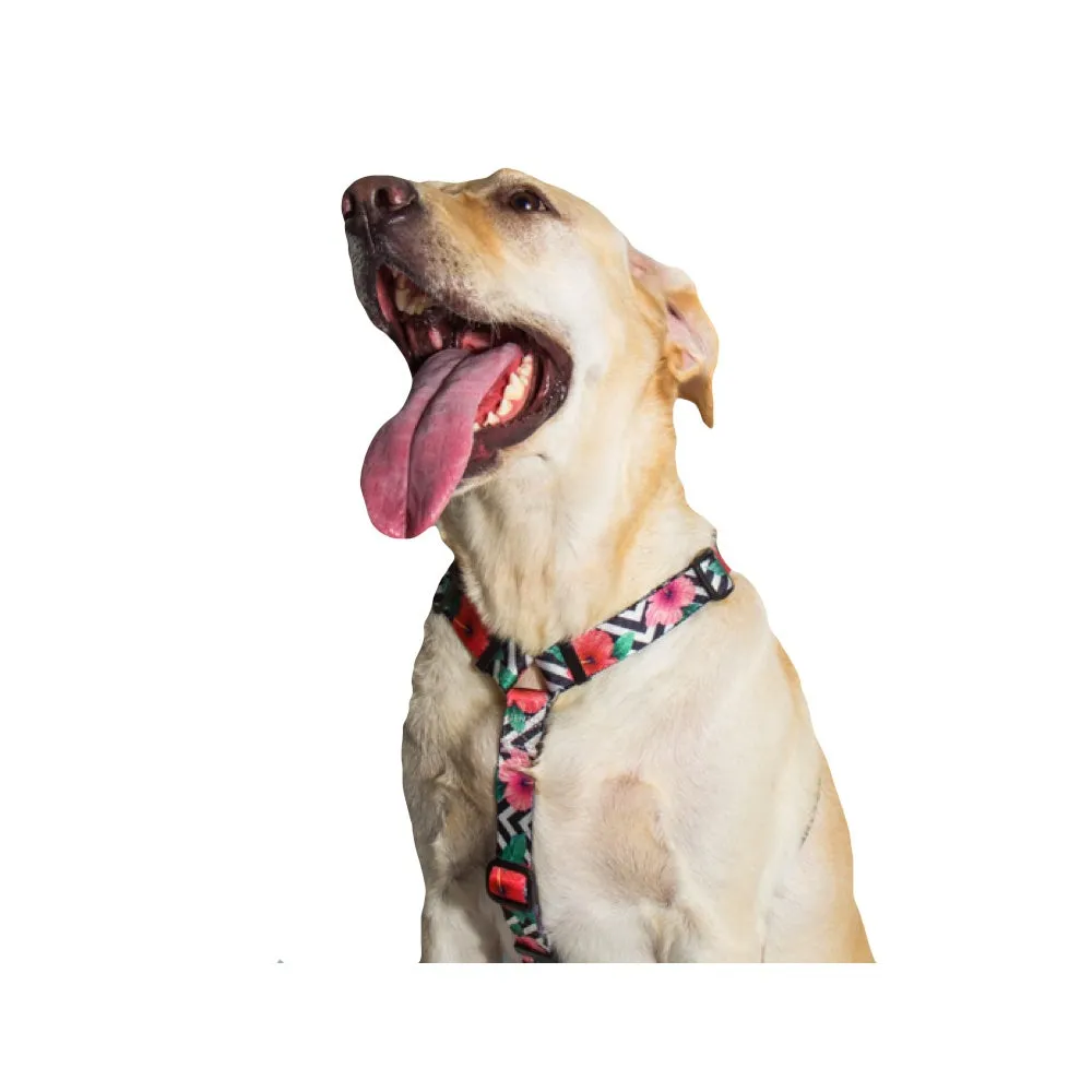 Zee.Dog Mahalo H Dog Harness